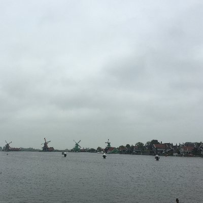 Christiana_Oh's profile picture. 