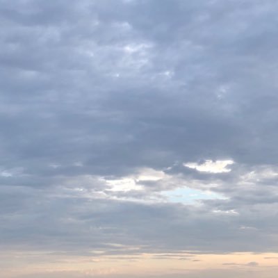 Springtour_2O22's profile picture. 成人済