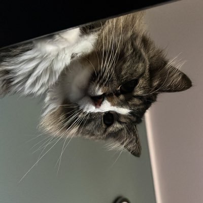 Edok56187's profile picture. 