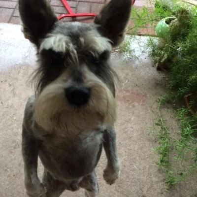FACTSBOII Profile