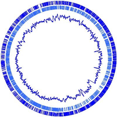 Finding the Optimal Regimen for Mycobacterium abscessus Treatment using an Adaptive, Multi-arm, platform trial.