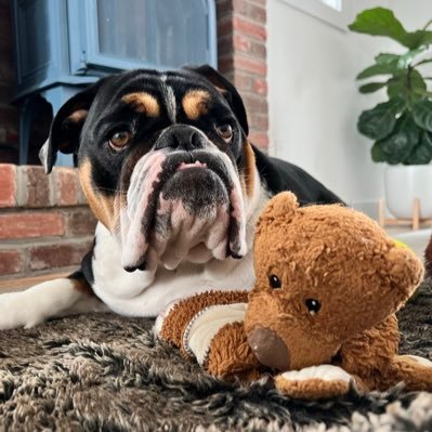 _johnnysauc3's profile picture. Funny how?