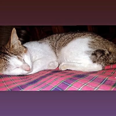 Nura20990110's profile picture. 