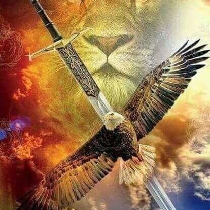 BColborn's profile picture. 