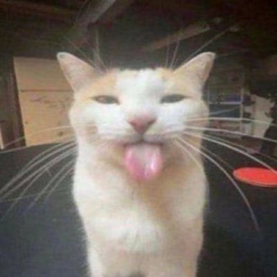 nicさんのプロフィール画像