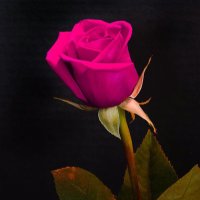 Sorisso (@sorisso100) Twitter profile photo