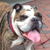 Leigh, π Zelda, & π Clovis (@leigh_dc) 's Twitter Profile