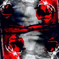 Fervent (@ferv3nt) 's Twitter Profile