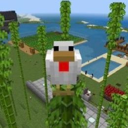 わいわい笑いながらゲームするのが好きです✌️ マイクラ歴は8年目ぐらいかな？ 酒飲んでゲームしてるおっさんです🍺最近はマイクラばっかり✌️誘われればどこでもお邪魔します🤤 ゲーム系の方しかフォローしません🖐️