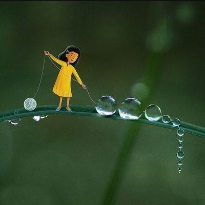 akireUIEM's profile picture. 