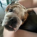 Caleb Helms - @Caleb11xbl - Twitter