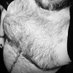 Urso Fêmea SP (@ursaofemea) Twitter profile photo Urso Fêmea SP (@ursaofemea) Twitter profile photo