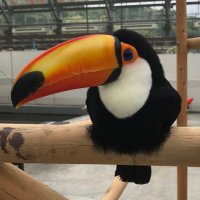 miki (@mk48_kamo) Twitter profile photo