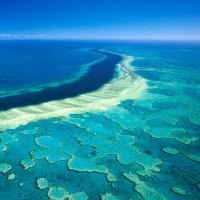 Great Barrier Reef (@greatbarrierrf) 's Twitter Profile