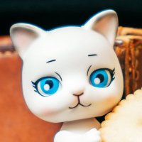 CAPSULE DOLL(カプセルドール) (@CAPSULE_DOLL) / X