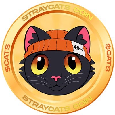 Straycats to the meooown!😻join us! https://t.co/xI9VbaiExT