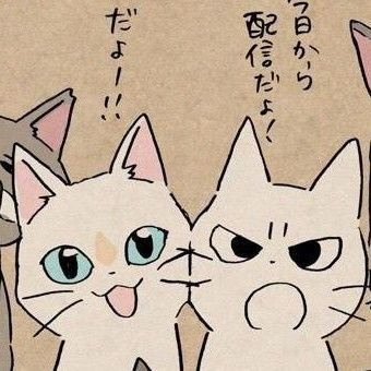 Rainさんのプロフィール画像
