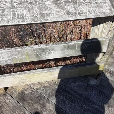 e_jaymes_'s profile picture. writer of angry women and lesbian angst. sometimes with swords. ⚔️ she/her | 20