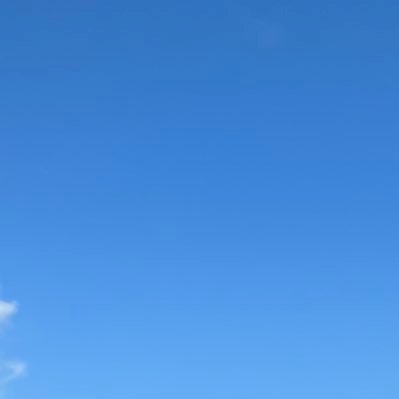 freddykichen's profile picture.