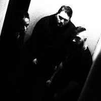 NULL (@weare_null) 's Twitter Profile