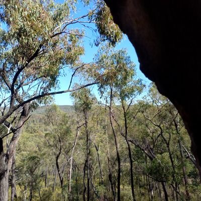 YinarrKarra's profile picture. Narrabri/ Pilliga Gomeroi Yinarr