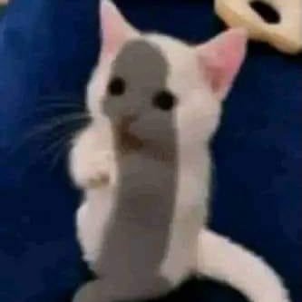 Dying4piece's profile picture. 