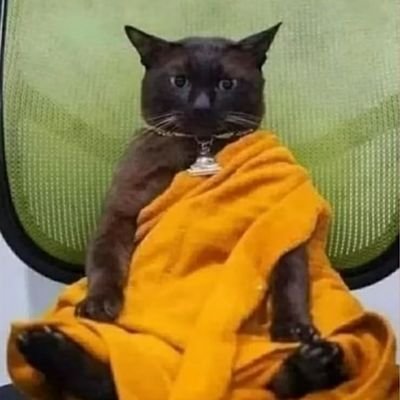 cnnrcncrs7887's profile picture. 