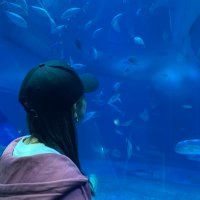 れおな🌻 (@0o7_8my) Twitter profile photo