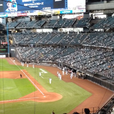 好きな野球チームスワローズ、、ロッテ、日本ハムファイターズ、楽天イーグルス、横浜ベイスターズ、柏レイソル、ヴィッセル神戸、埼玉ヒートベアーズ。
