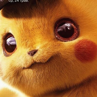 vlad2084944's profile picture. 