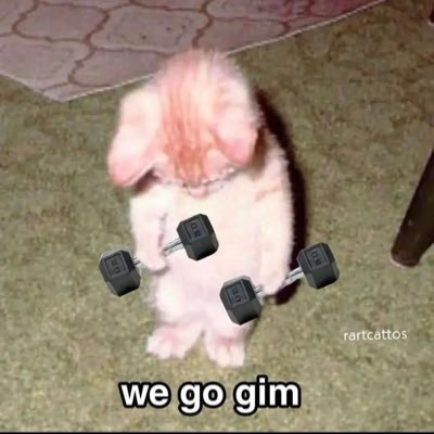 fromdaStarz's profile picture. 94'• Indian/Asian •