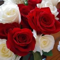 Kamlesh Tiwari (@kamlesh23984516) 's Twitter Profile Photo Kamlesh Tiwari (@kamlesh23984516) 's Twitter Profile Photo