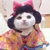OO WSXWSX (@owsxwsx) Twitter profile photo OO WSXWSX (@owsxwsx) Twitter profile photo