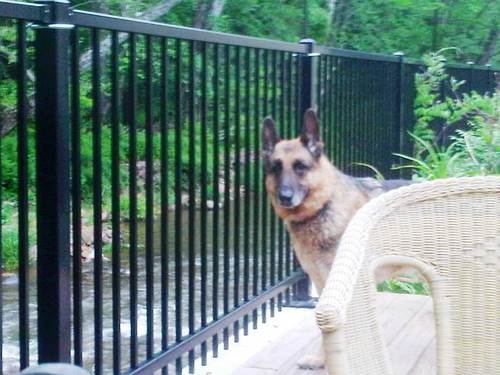 jimnase's profile picture. primary goal in life is to have the largest cat ranch on the north american continent