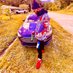 🦂Jimmy2smooth🇭🇹 (@jimmy2smoo48661) Twitter profile photo 🦂Jimmy2smooth🇭🇹 (@jimmy2smoo48661) Twitter profile photo
