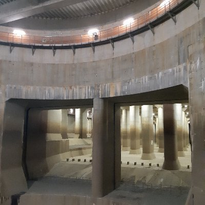 iolite_flowers's profile picture. 進捗管理、メモ、素敵好きなものいいねしてるアカウントです/無言フォローすみません🙏K✌️沼ドボン中　20↑