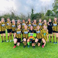 Stockwood Wanderers Women (@stockwoodwomen) 's Twitter Profile Photo