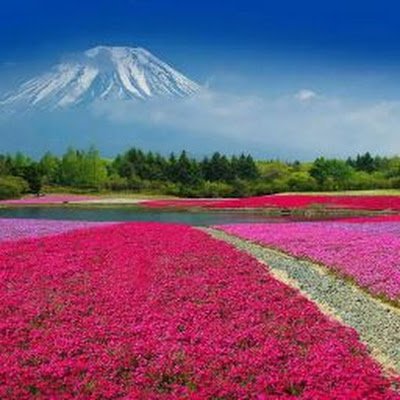 h_h635960's profile picture. 