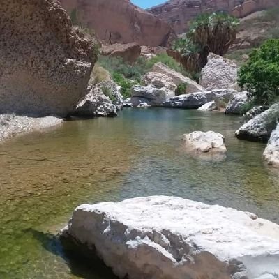 MrwAlhmwmy39305's profile picture. 