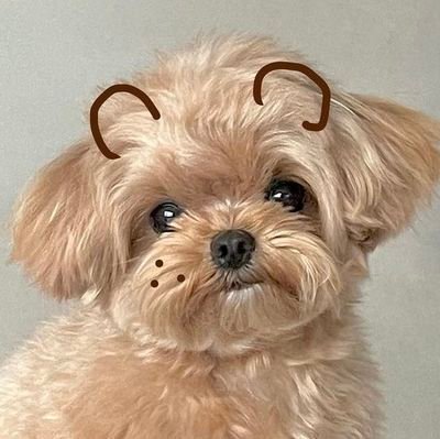 chokobiyoo's profile picture. ฅ⁠^⁠•⁠ﻌ⁠•⁠^⁠ฅ