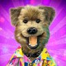 HackerTDog's profile picture. Alright Cockers? This is me official Twitter account. I'm the handsome dog from Wigan and @CBBC (the kids know who I am cockers)