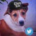 நாய்க்குட்டி (The Dog) (@KuttyNaai_) Twitter profile photo