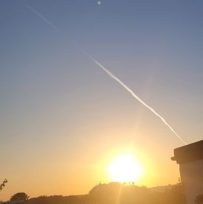 ZVOTIME's profile picture. I don't really care how to use this app properly:)