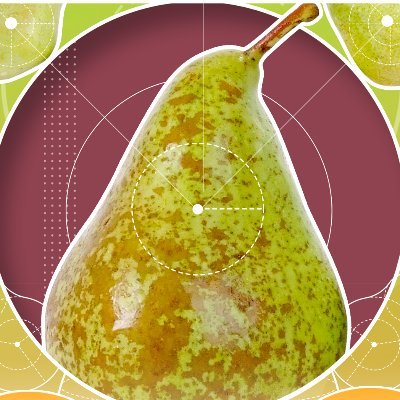 Interpera - the International Pear Congress -  is a pear-focused event showcasing production trends, innovations and challenges of the pear sector.