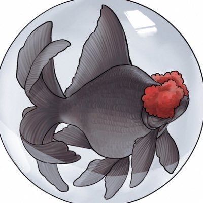 𝕀.𝕓𝕠𝕣𝕞 ं॰ *さんのプロフィール画像
