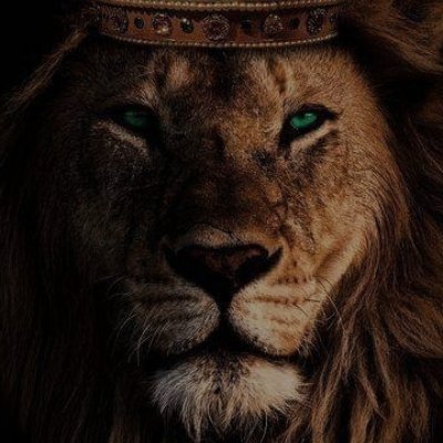 Sarathkumarsk10's profile picture. 