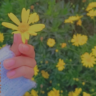 الرَكبُ سائرٌ بك أو من دونك...
توجع قليلاً توجع كثيراً سنصعد هذا الجبل...