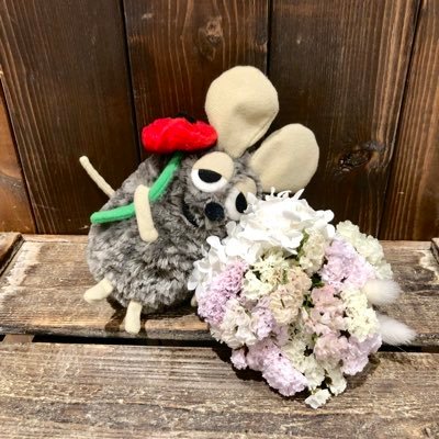 じ ょ ん ( は な や ) __ʕ̢̣̣·͡˔·Ɂ̡̣̣ꕤ*.ﾟ (@_j__o__h__n__2_)