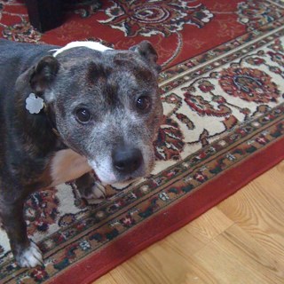 Marleydoo's profile picture. 