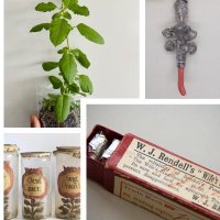 Migrating Materia Medica (@migratingmedica) 's Twitter Profile Photo